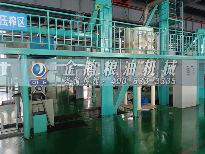 企鵝牌茶籽油雙螺桿榨油機(jī)，用心制造獲得客戶認(rèn)可(圖3)