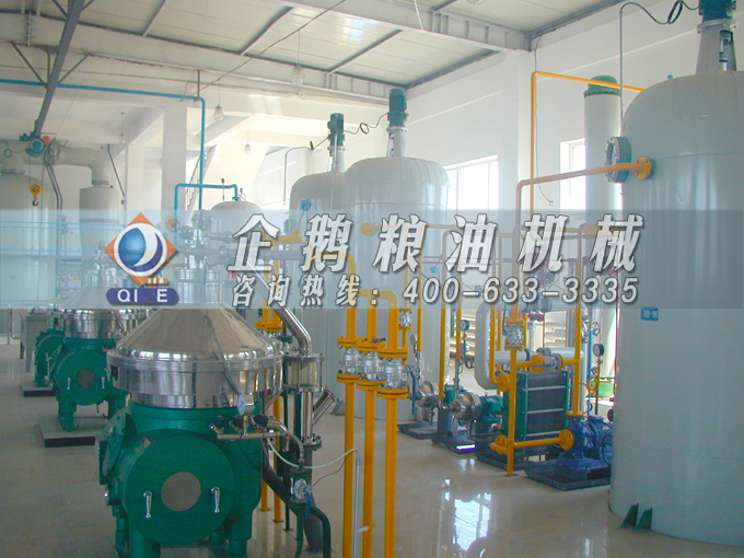 如何投資建設(shè)棕櫚油加工廠？企鵝糧油機械在線為您答疑解惑(圖2)