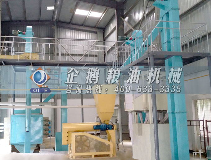 如何投資建設(shè)棕櫚油加工廠？企鵝糧油機械在線為您答疑解惑(圖4)