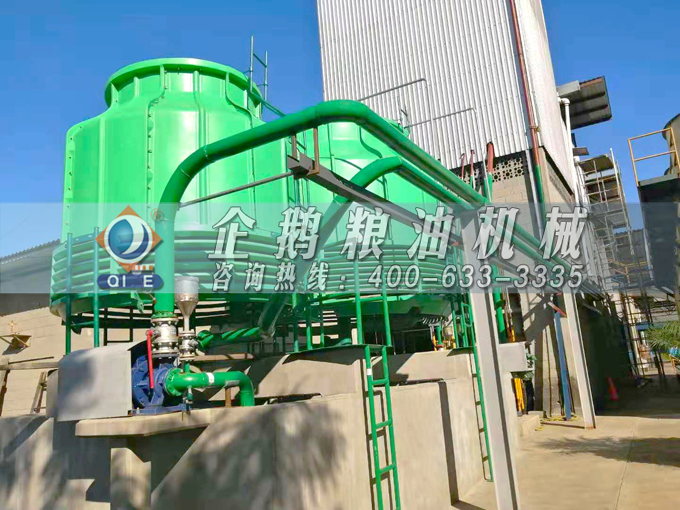 如何投資建設(shè)棕櫚油加工廠？企鵝糧油機械在線為您答疑解惑(圖3)