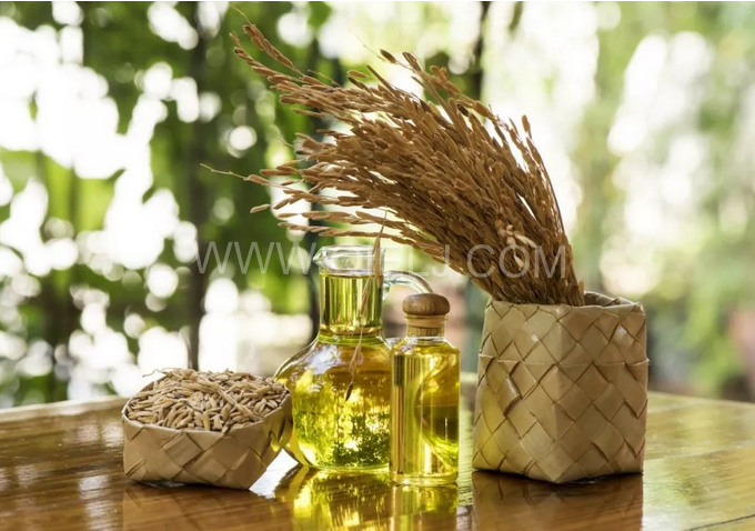 米糠油精煉設(shè)備，企鵝機(jī)械不斷創(chuàng)新提升工藝效果(圖1)